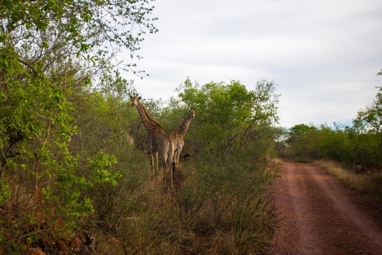 Nungu Game Lodge Lephalale 外观 照片